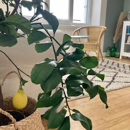 Le Citronnier Apartment ฟุยส์นอง ภายนอก รูปภาพ