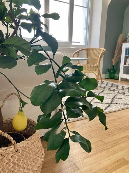 Le Citronnier Apartment ฟุยส์นอง ภายนอก รูปภาพ